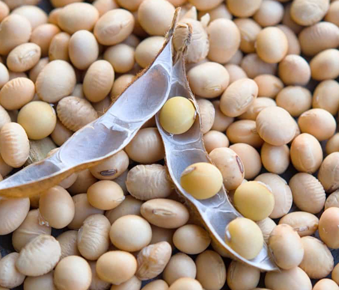 soya