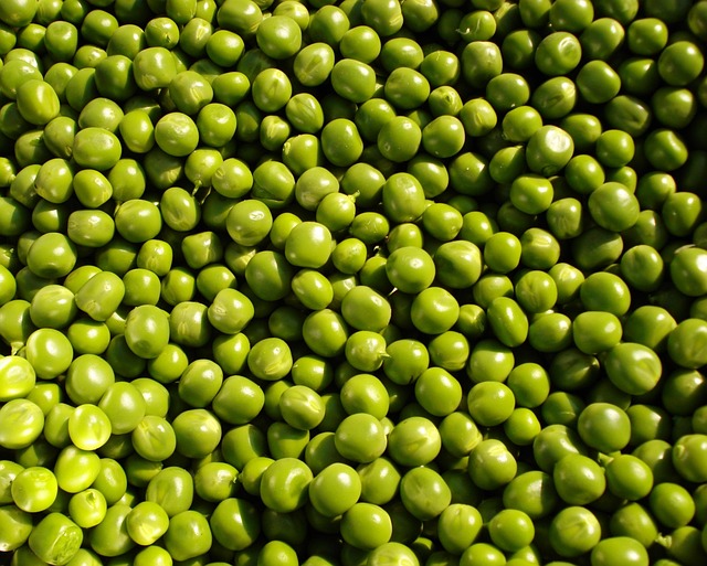 peas, pea, vegetables, green, food, vegetable, fresh, soup, pea soup, peas, peas, peas, peas, peas, pea, pea, pea